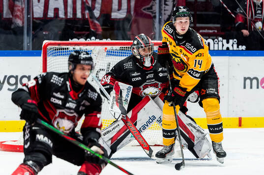 Malmö Redhawks målvakt Marek Langhamer och Luleås Jonas