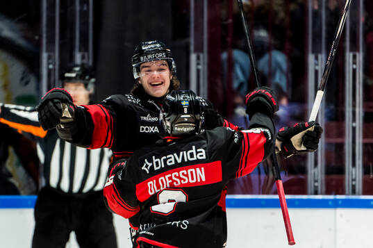 Malmö Redhawks Dominik Badinka jublar