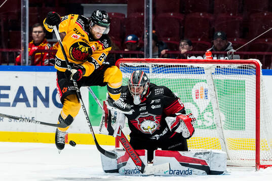 Luleås Brendan Shinnimin och Malmö Redhawks målvakt