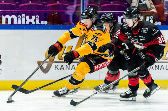 Luleås Anton Levtchi och Malmö Redhawks Joona Ikonen