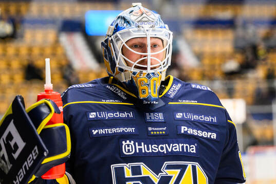 HV71s målvakt Hugo Alnefelt