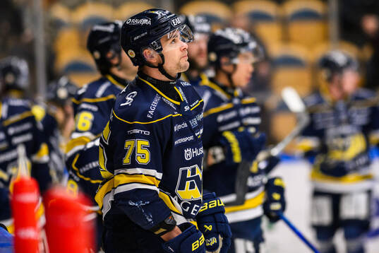HV71s Radan Lenc