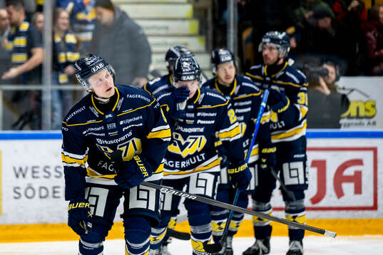 HV71s Hugo Pettersson jublar