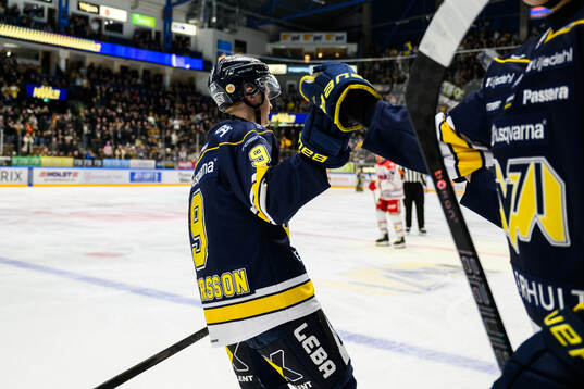 HV71s Hugo Pettersson jublar