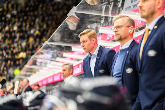 HV71s tränare Anton Blomqvist