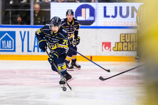 HV71s Radan Lenc