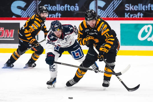 Skellefteås Max Lindholm