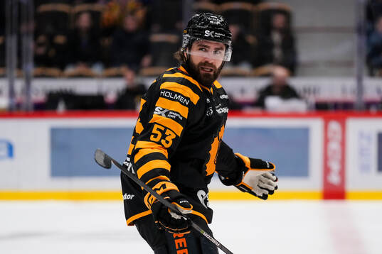 Skellefteås Luke Witkowski