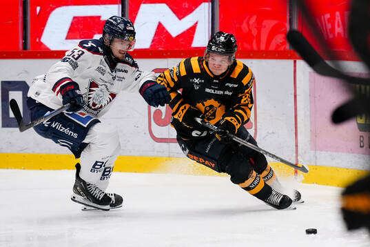 Linköpings Adam Hofbauer och Skellefteås Anton Heikkinen