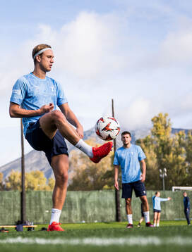 Malmö FFs Erik Botheim