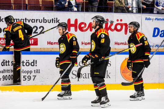 Brynäs spelarna deppar