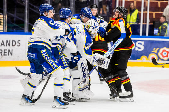 Leksands målvakt Mantas Armalis
