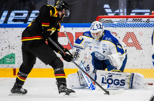 Leksands målvakt Mantas Armalis