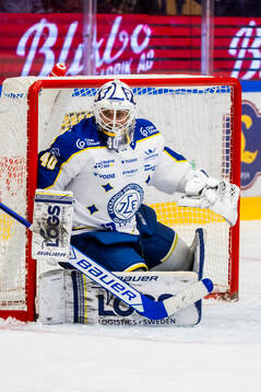 Leksands målvakt Mantas Armalis