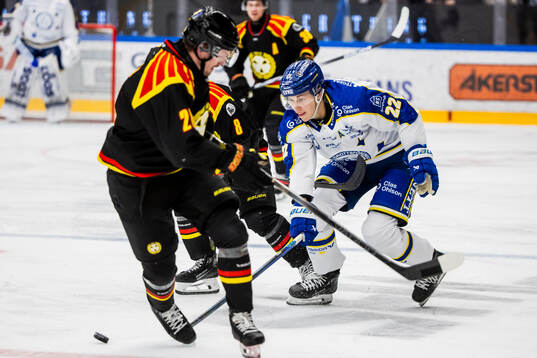 Leksands Lukas Vejdemo