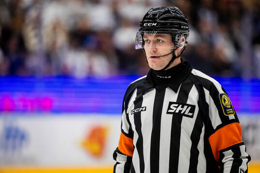 Domare Daniel Eriksson