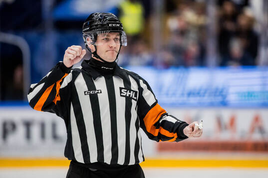 Domare Daniel Eriksson