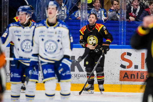 Brynäs Jordan Schroeder