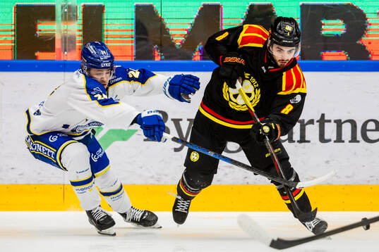 Leksands Arvid Eljas och Brynäs Bobby Trivigno