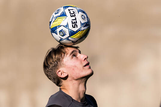 Johannes Engvall