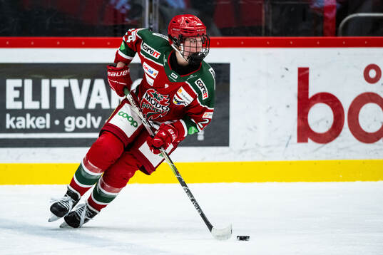 Modos Ebba Hedqvist