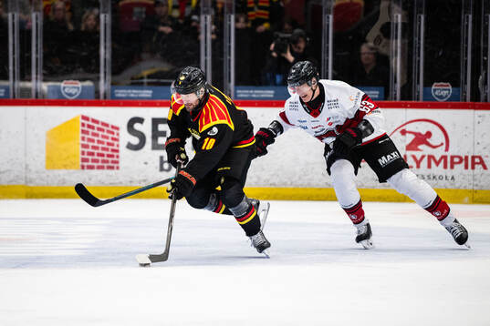 Brynäs Johan Larsson och Malmö Redhawks Fredrik Händemark