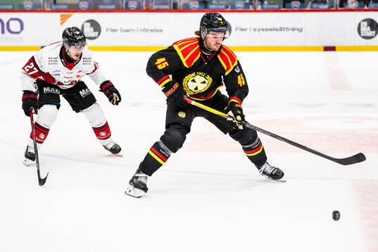 Bläddra bland fler bilder av Ishockey, SHL, Brynäs - Malmö Redhawks