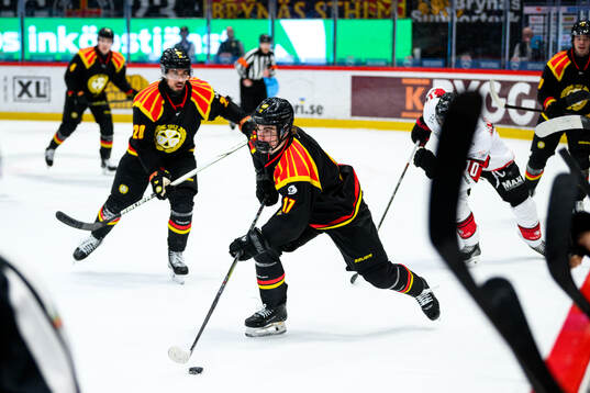 Brynäs Michal Svrcek
