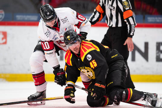 Malmö Redhawks William von Barnekow och Brynäs