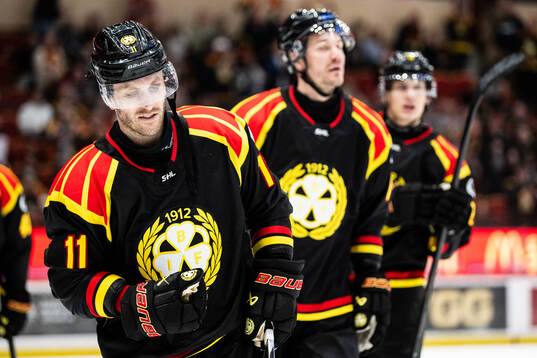 Brynäs Jordan Schroeder