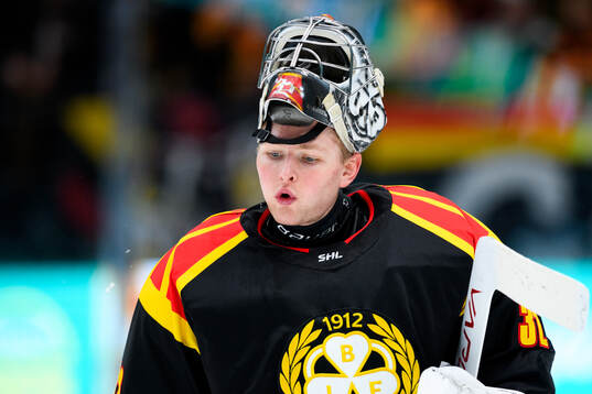 Brynäs målvakt Ludvig Persson