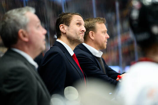 Malmö Redhawks tränare Tomas Kollar deppar