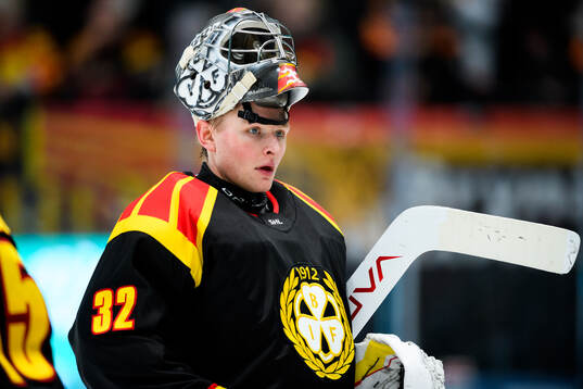 Brynäs målvakt Ludvig Persson