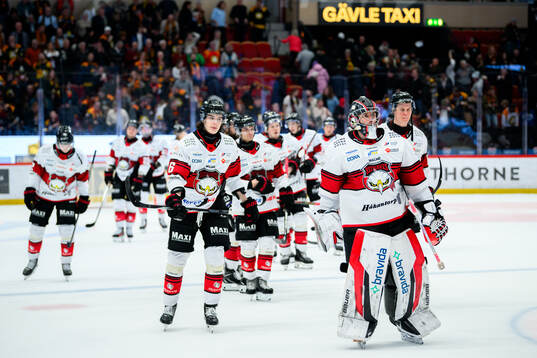 Malmö Redhawks Dominik Badinka och målvakt Marek