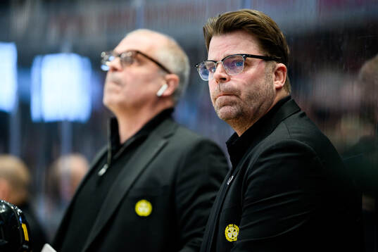 Brynäs assisterande tränare Ove Molin
