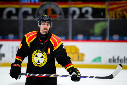 Brynäs Anton Rödin