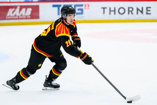 Brynäs Axel Andersson