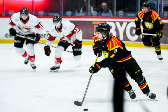 Brynäs Bobby Trivigno