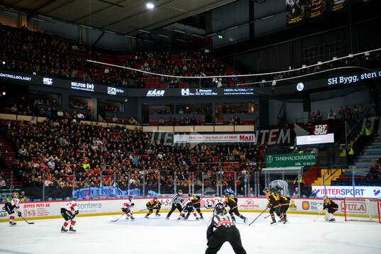 Monitor ERP Arena