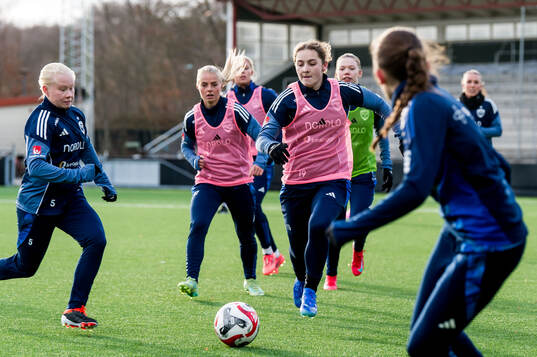 Rosengårds Maja Johansson