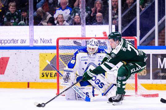 Leksands målvakt Mantas Armalis och Färjestads Viktor