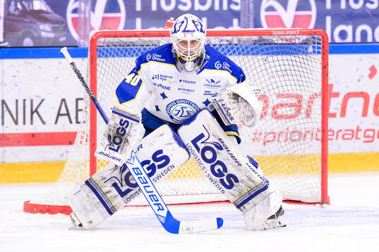 Leksands målvakt Mantas Armalis