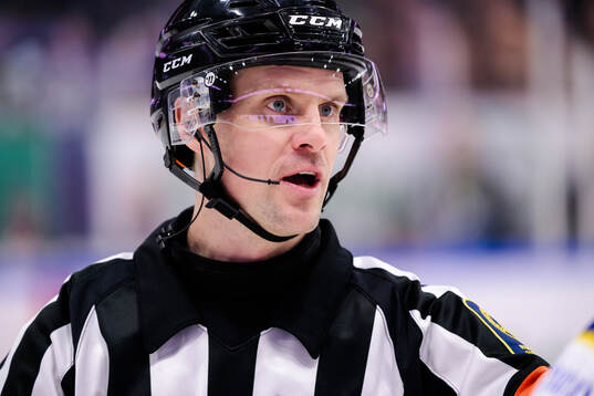 Domare Stefan Leijonklo