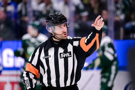 Domare Mikael Sjöqvist