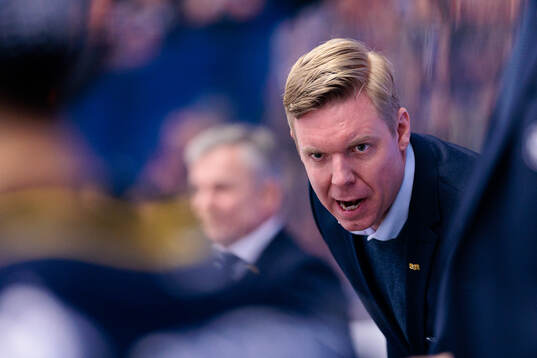 HV71s tränare Anton Blomqvist