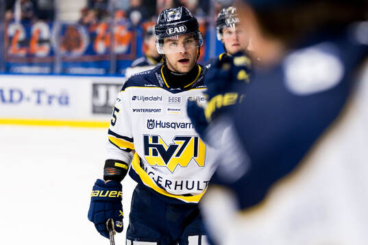 HV71s Radan Lenc jublar