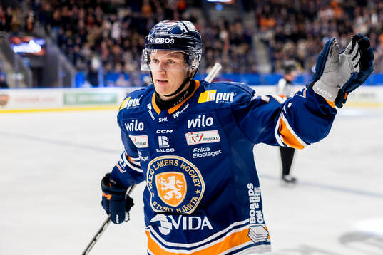 Växjös Hugo Gustafsson jublar