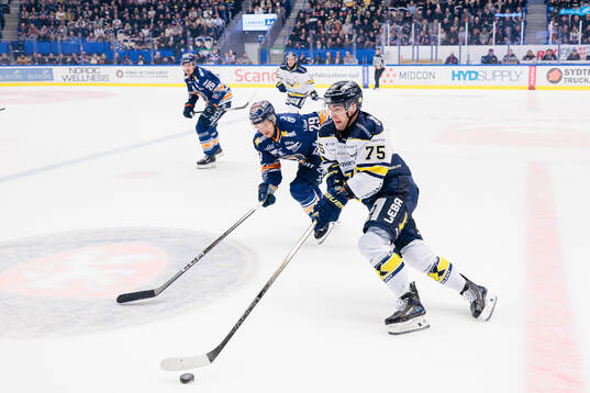 Växjös Sebastian Strandberg och HV71s Radan Lenc