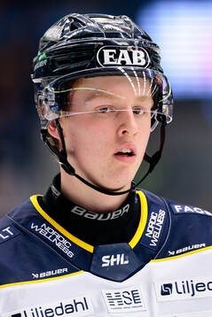 HV71s Viggo Gustafsson