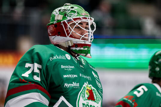 Rögles målvakt Arvid Holm